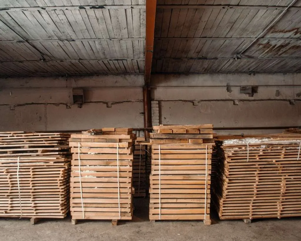 Дуб - новость.jpg