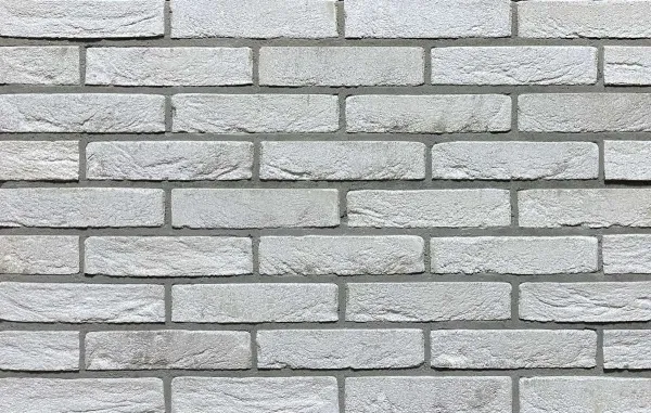 Мальгерба WF 2022