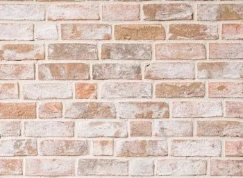 Кирпич "Амиант" (РУЧНАЯ ФОРМОВКА)