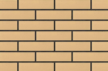 Кирпич КР-л-пу Ваниль гладкий 1НФ/250*120*65/F100/М200-250 (неотобранный) (480шт)